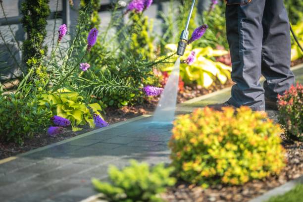 Best Brick and Stone Cleaning in Cheraw, SC